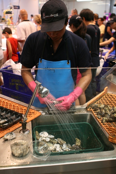 Sydney Christmas 2012 - Fish Markets #5