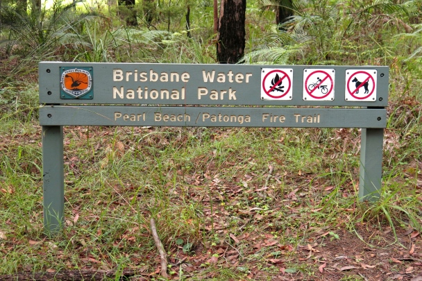 MTB_Brisbane_Waters-01