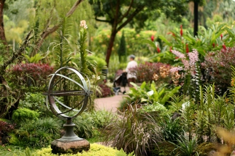 Singapore Botanic Gardens #12